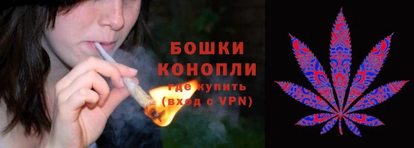 каннабис Арсеньев
