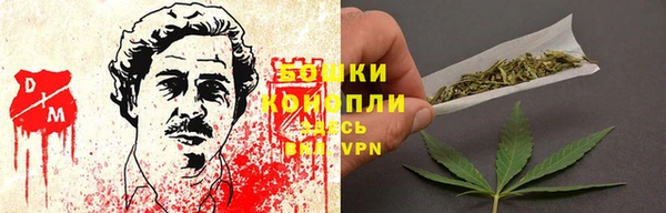 каннабис Аркадак