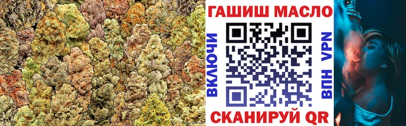 продажа наркотиков  Сунжа  ТГК гашишное масло 